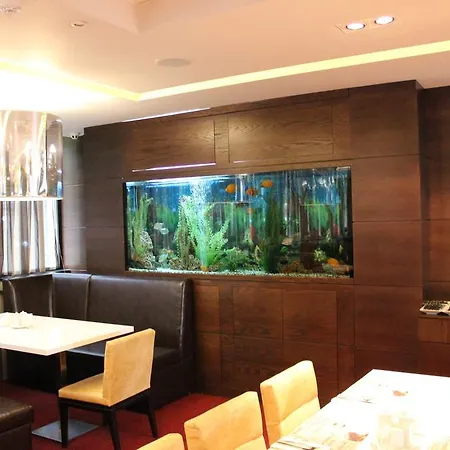 Dream Hotell 3*